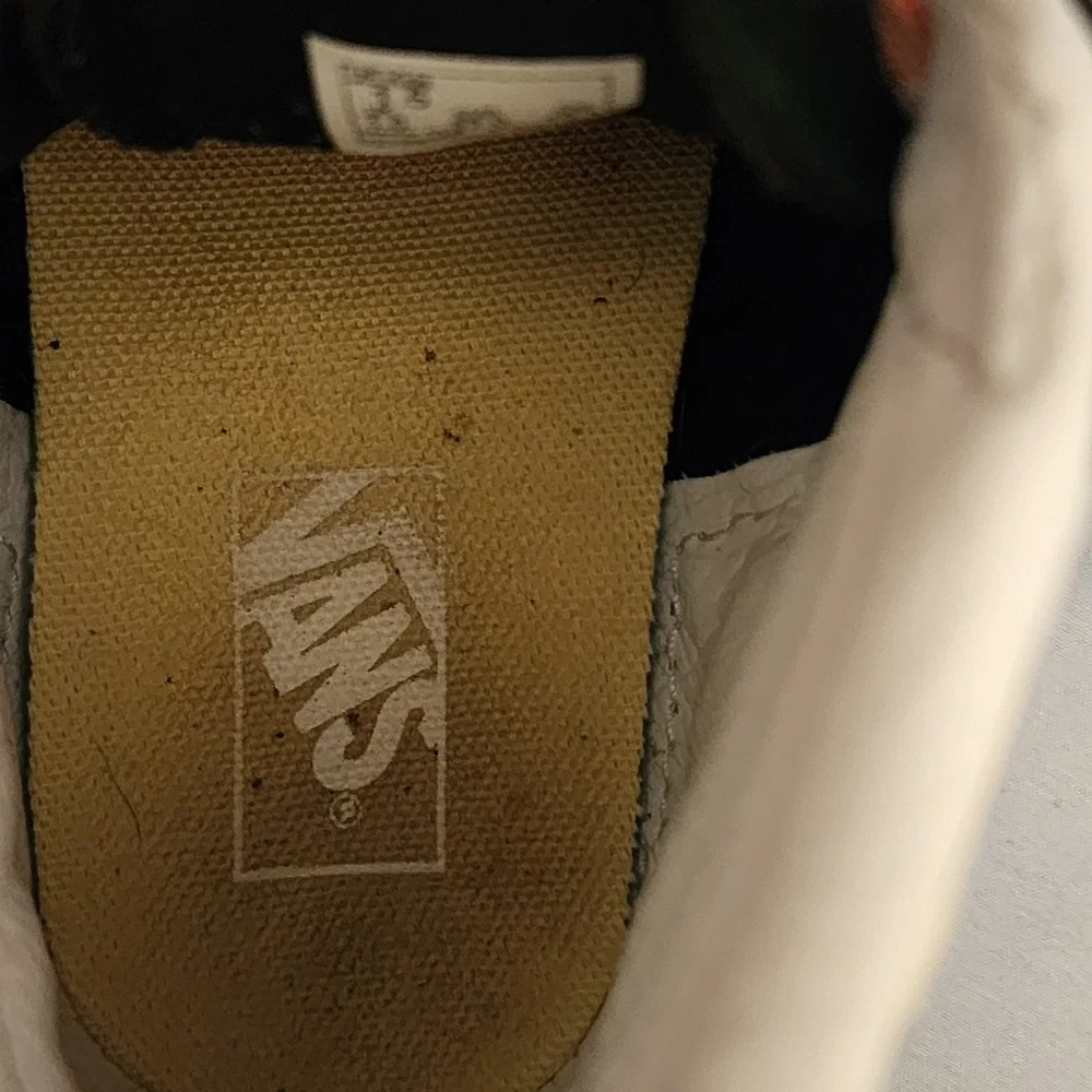Vans stylish sk8